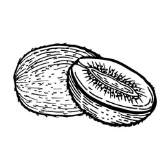 Kiwi fruit sketch composition. Whole and half slices. Tropical fruit isolated on a transparent background.