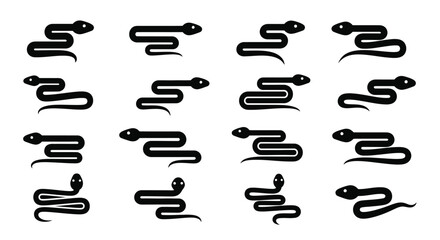 Collection of snake vector illustrations black and white background