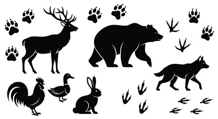 Naklejka premium Vector illustration of wildlife animals including deer bear and wolf