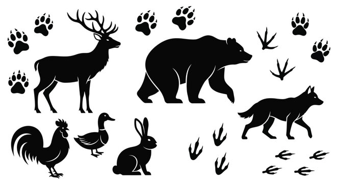 Vector illustration of wildlife animals including deer bear and wolf