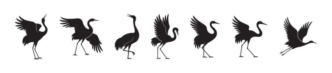 Obraz premium Crane bird silhouettes collection, elegant heron poses, flying and standing birds, wildlife illustration, nature animal design, graceful bird vector art, black silhouette