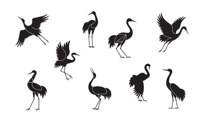 Obraz premium Crane bird silhouettes collection, elegant heron poses, flying and standing birds, wildlife illustration, nature animal design, graceful bird vector art, black silhouette