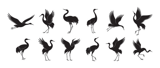Obraz premium Crane bird silhouettes collection, elegant heron poses, flying and standing birds, wildlife illustration, nature animal design, graceful bird vector art, black silhouette