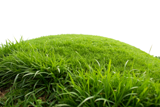 Vibrant green grass hill mound fresh turf lawn meadow, cut out transparent