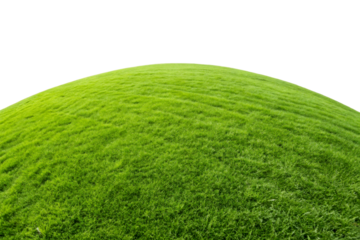 Green grassy hillside mound isolated on white background, cut out transparent