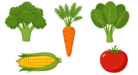 Collection of Fresh Vegetables Broccoli Carrot Corn Spinach Tomato.