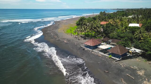Pantai Saba Coastline with Palm Trees, Bali