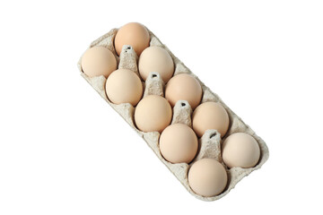 Chicken eggs in a basket, isolated on a white background
