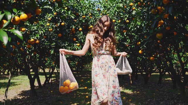 Woman walking orange orchard picking basket harvest dress lifestyle nature while collecting fruit into basket. Floral dress sways under canopy. Quiet rural atmosphere. Sunlit summer harvest activity.