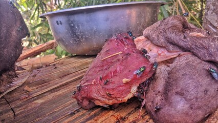 Close-up shot capturing discarded raw meat undergoing rapid decomposition outdoors, infested with...