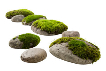 Group of stones with moss on white background