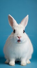 Obraz premium Adorable White Rabbit Portrait on Blue Background - A Study in Contrast.