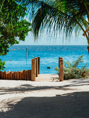 Fototapeta premium tropical beach with palm trees pier