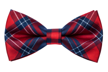 Plaid Bow Tie Accessory