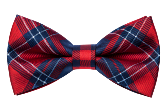 Plaid Bow Tie Accessory