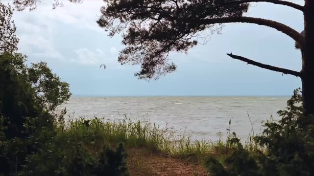 Kitesurfer in the Distance by the Sea with Trees Framing the View