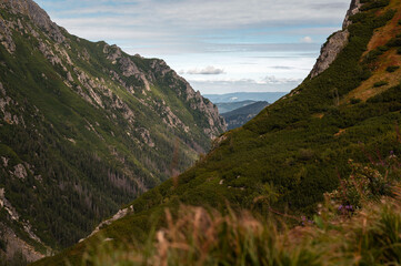 Scenic mountain valley view. High Tatras, Poland. Zakopane