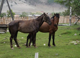 Obraz premium Mysterious Legends of Olkhon Island