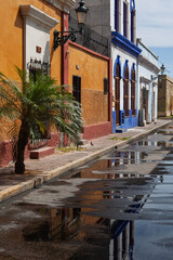 narrow street in the old town mexico