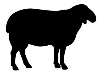 Sheep silhouette illustration. Farm animal clipart