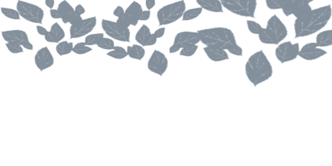 Grey leaves border for a natural design