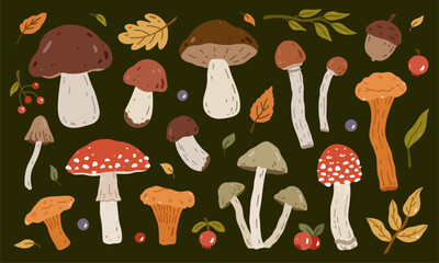 A set of different mushrooms and autumn leaves on a dark background. Fly agaric, chanterelles, porcini mushrooms, toadstools. Vector hand-drawn illustration in a flat style. Perfect for natural themes