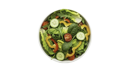 Fresh Salad Bowl with Vegetables on Isolated Background