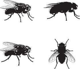 Fly Silhouette Set – Insect Vector Illustrations for Entomology, Pest Control, and Educational Design Projects