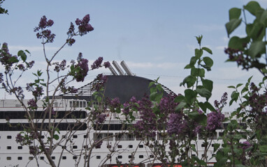 Fototapete bei efototapeten.de bestellen   