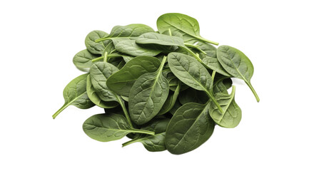 Fresh Spinach Leaves on Green Surface for Healthy Eating and Nutrition
