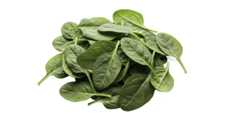 Fresh Spinach Leaves on Green Surface for Healthy Eating and Nutrition