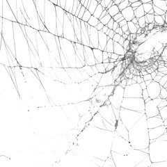 Obraz premium Close up of a spider web in black and white