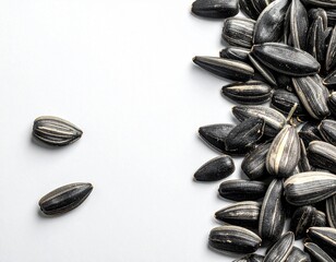 Sunflower seeds pile closeup