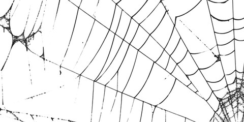 Spiderweb with intricate patterns in close up view