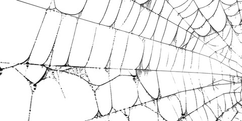 Spiderweb with intricate patterns in close up view