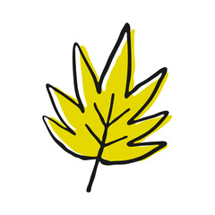 Hand Drawn Yellow Autumn Leaf
