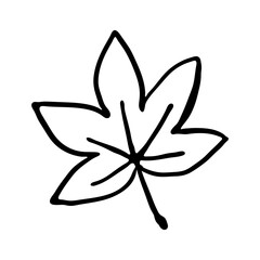 Hand Drawn Maple Leaf Outline
