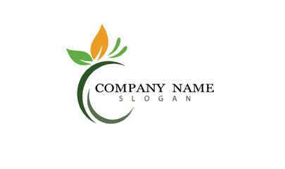 Obraz premium Abstract natural company logo design template with text 