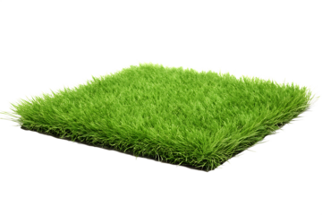 Green Artificial Grass Sample With White Edging On Transparent Background fake lawn isolated on a transparent background