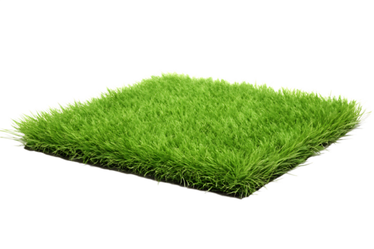 Green Artificial Grass Sample With White Edging On Transparent Background fake lawn isolated on a transparent background