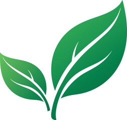 Set Of Eco Friendly Icons. Ecologic food stamps. Organic natural food labels.