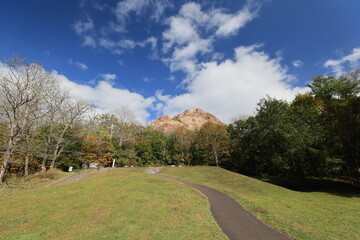 Path leading to mountain.