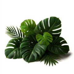 Fototapeta premium Lush Green Tropical Leaves Arrangement on White Background
