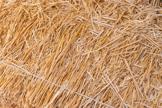 Detailed close-up view of a dry straw bale showing the natural texture and color of the straw. The image highlights the fibrous material and linear arrangement of the stalks.