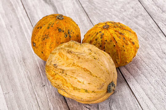 Decorative yelow pampkin seasonal vegetables