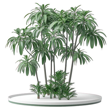 Cluster of palmlike trees on a white disk base with a few sprouts below