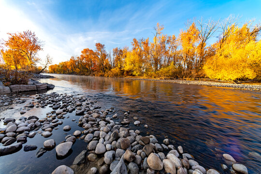 Boise River Idaho in fall