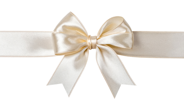 bow rinbbon decorative gift present isolated on transparent png