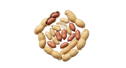 Peanuts, shelled and unshelled, arranged in a diamond shape on black