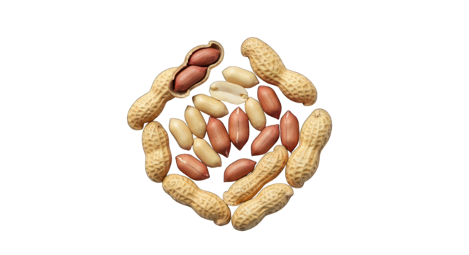 Peanuts, shelled and unshelled, arranged in a diamond shape on black